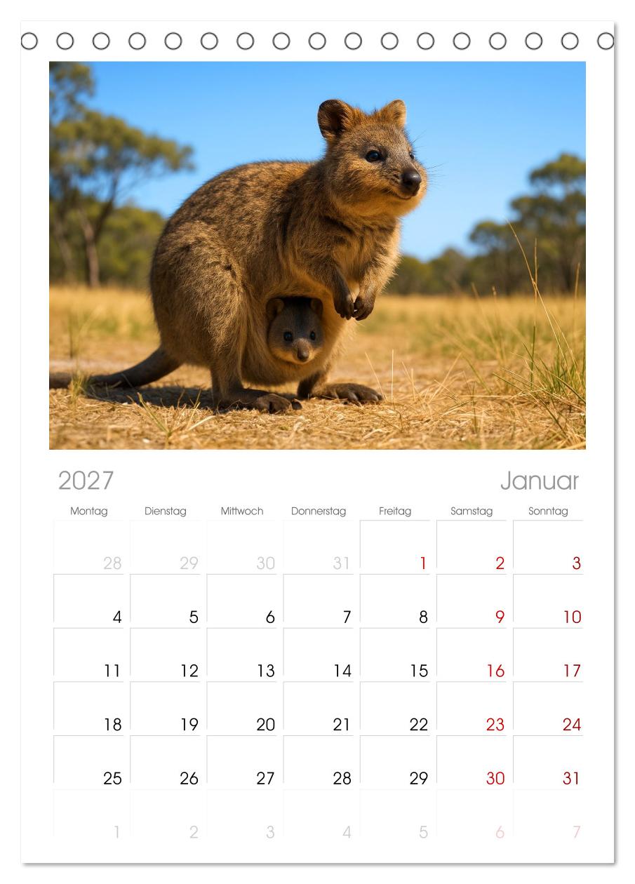 Die vielleicht nettesten Wildtiere