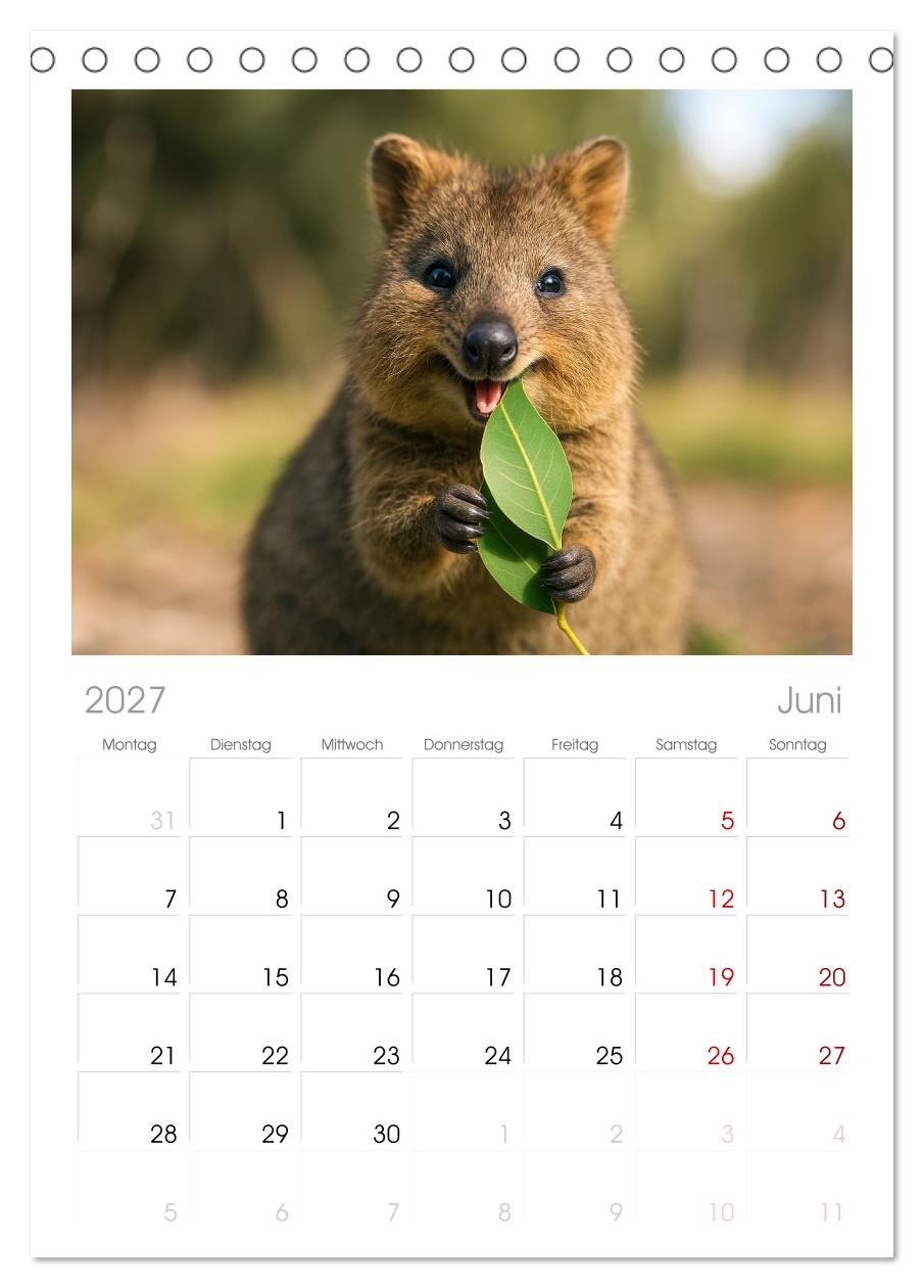 Die vielleicht nettesten Wildtiere