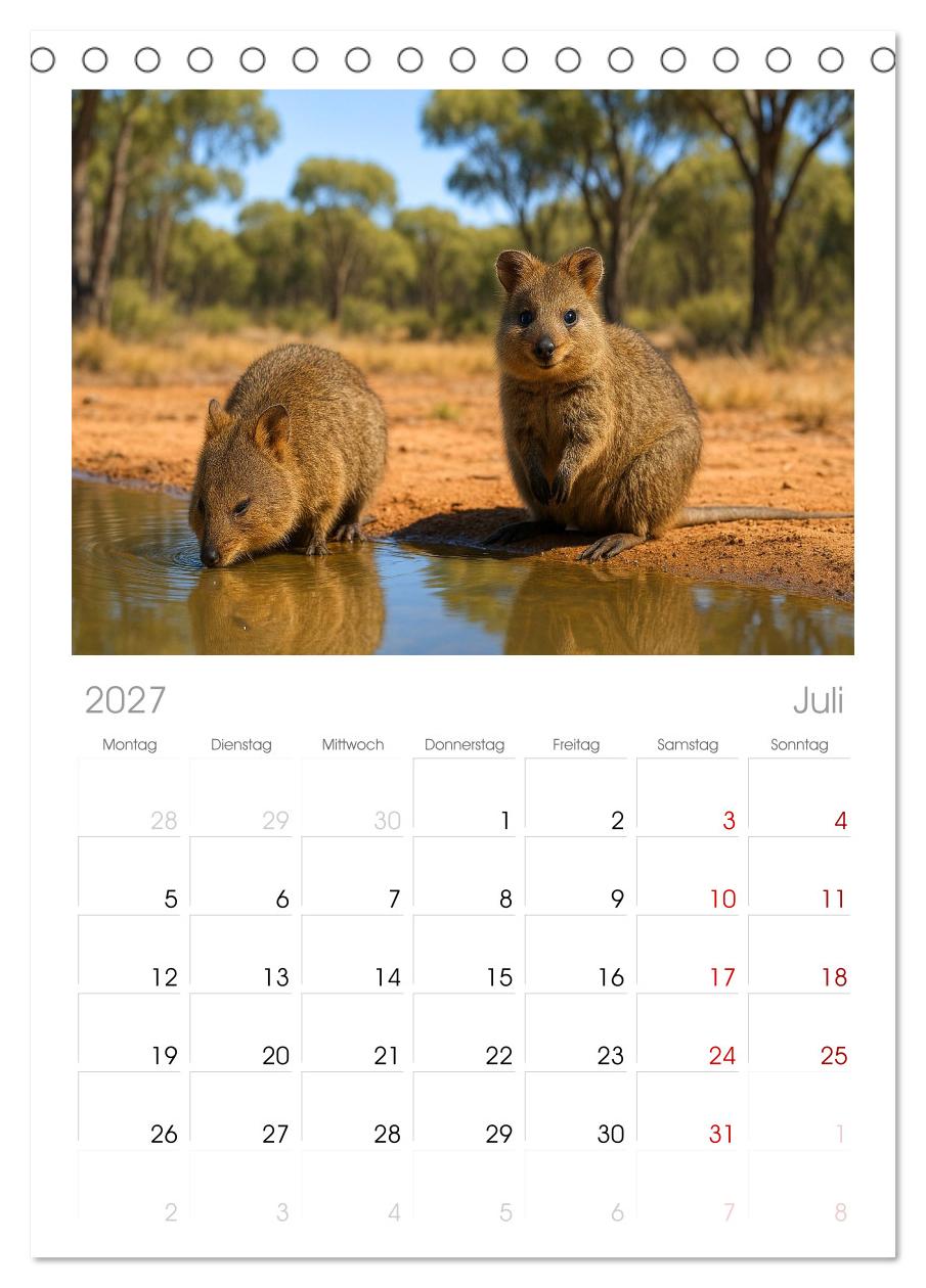 Die vielleicht nettesten Wildtiere