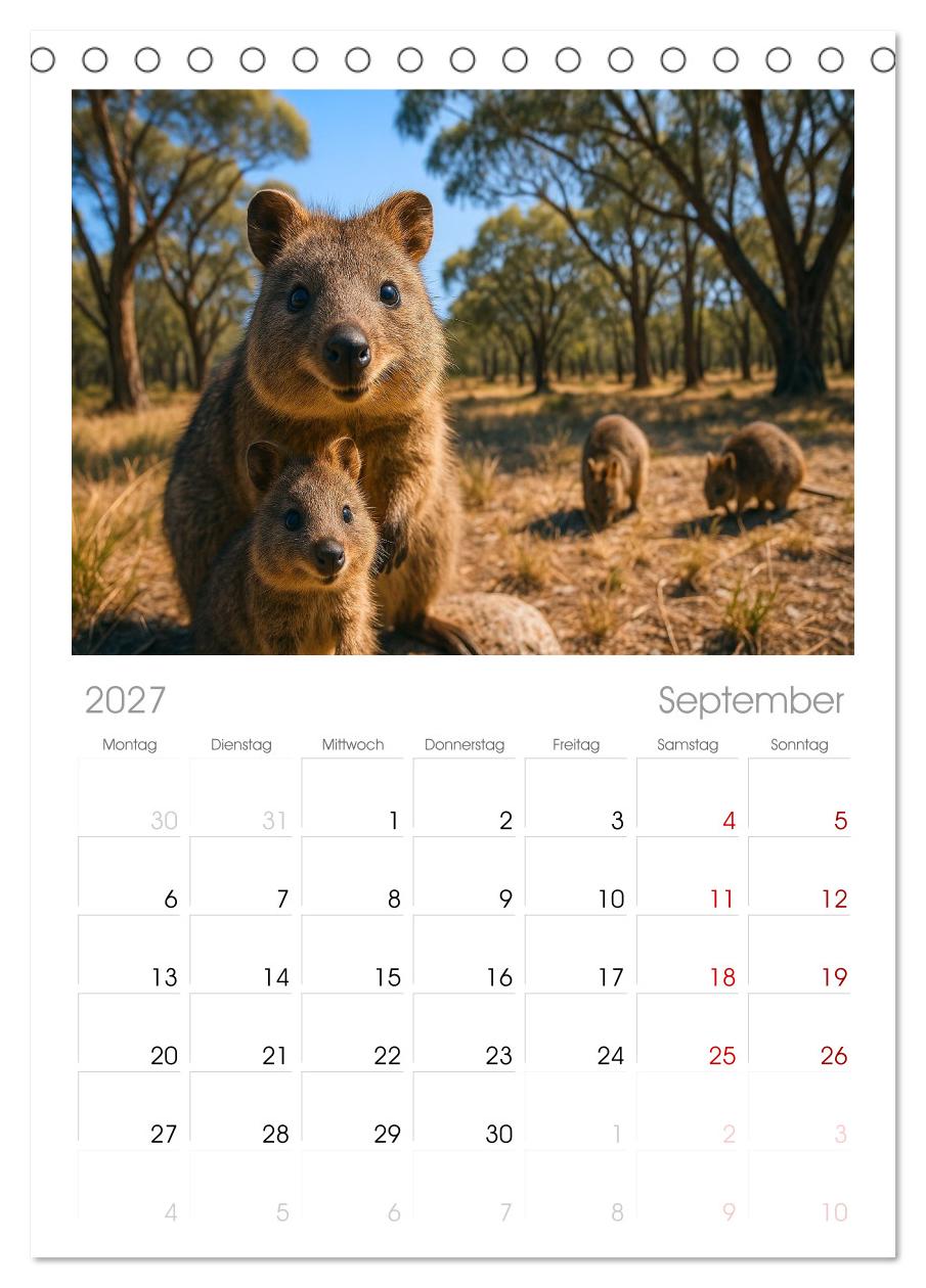 Die vielleicht nettesten Wildtiere