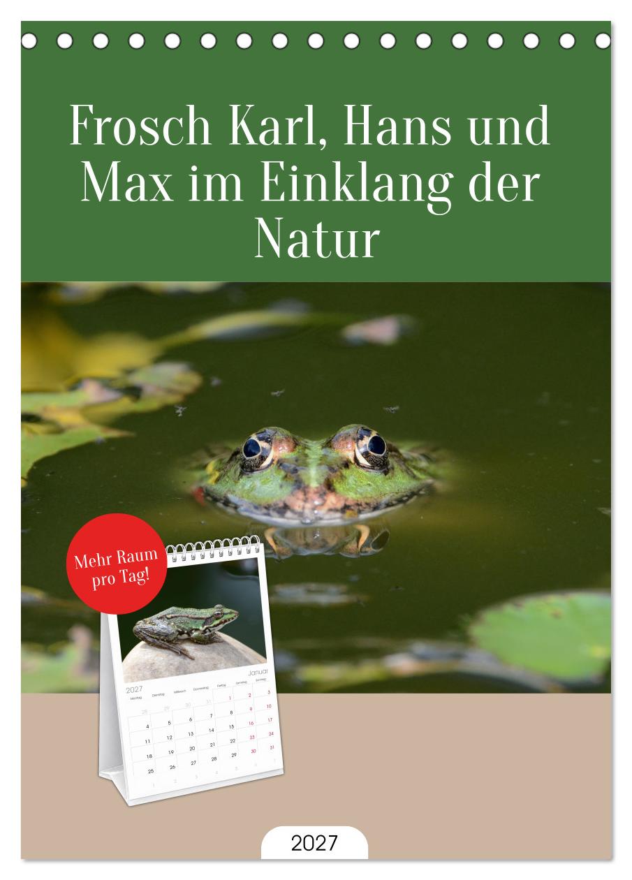 Frosch Karl, Hans und Max im Einklang der Natur