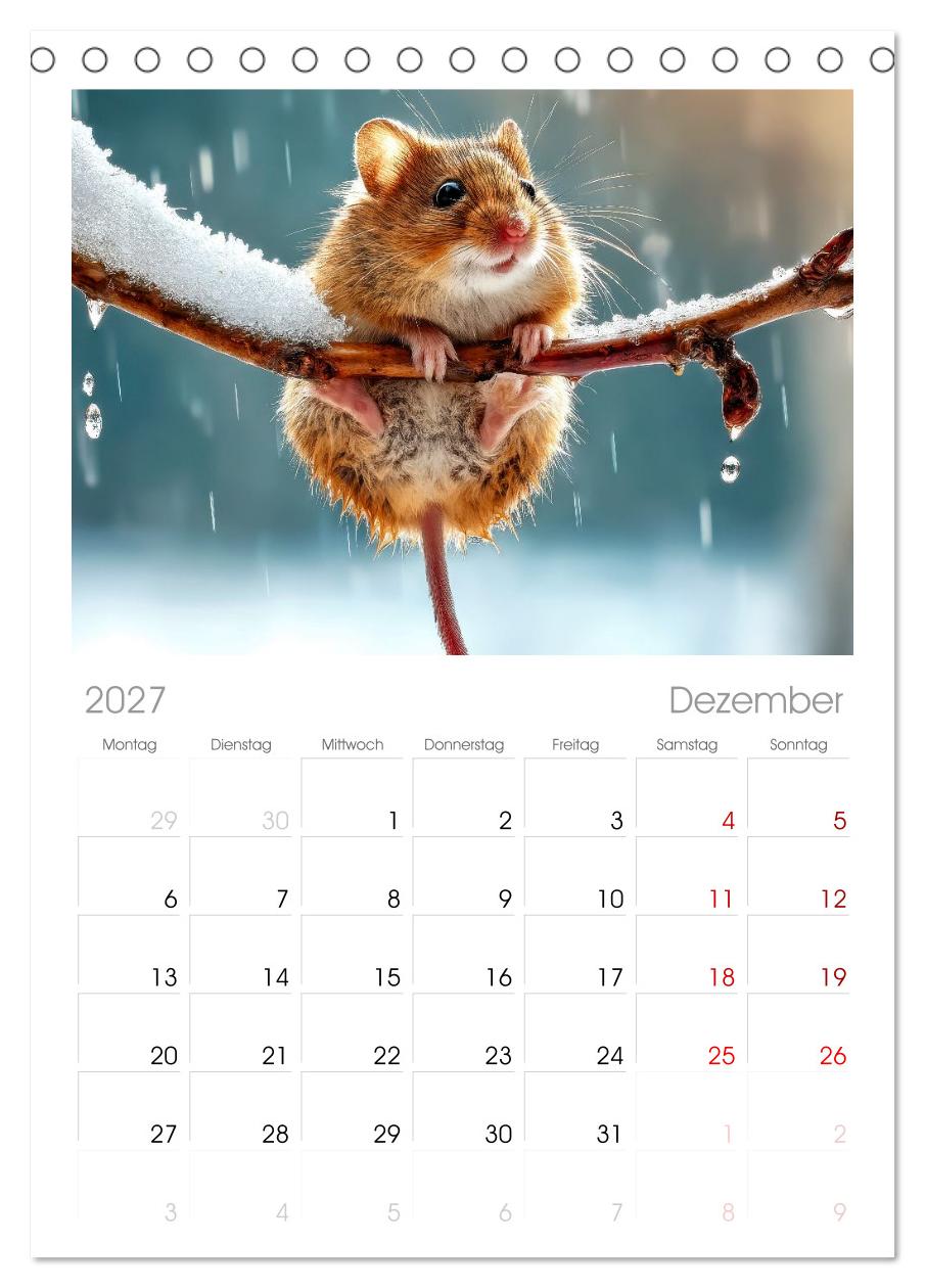 Regen? Na und! Mäuse