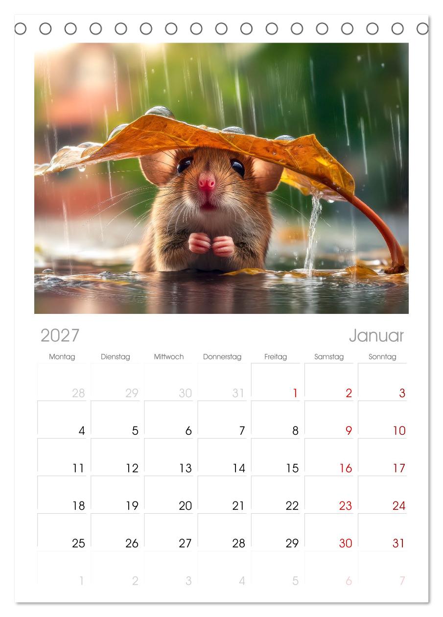 Regen? Na und! Mäuse