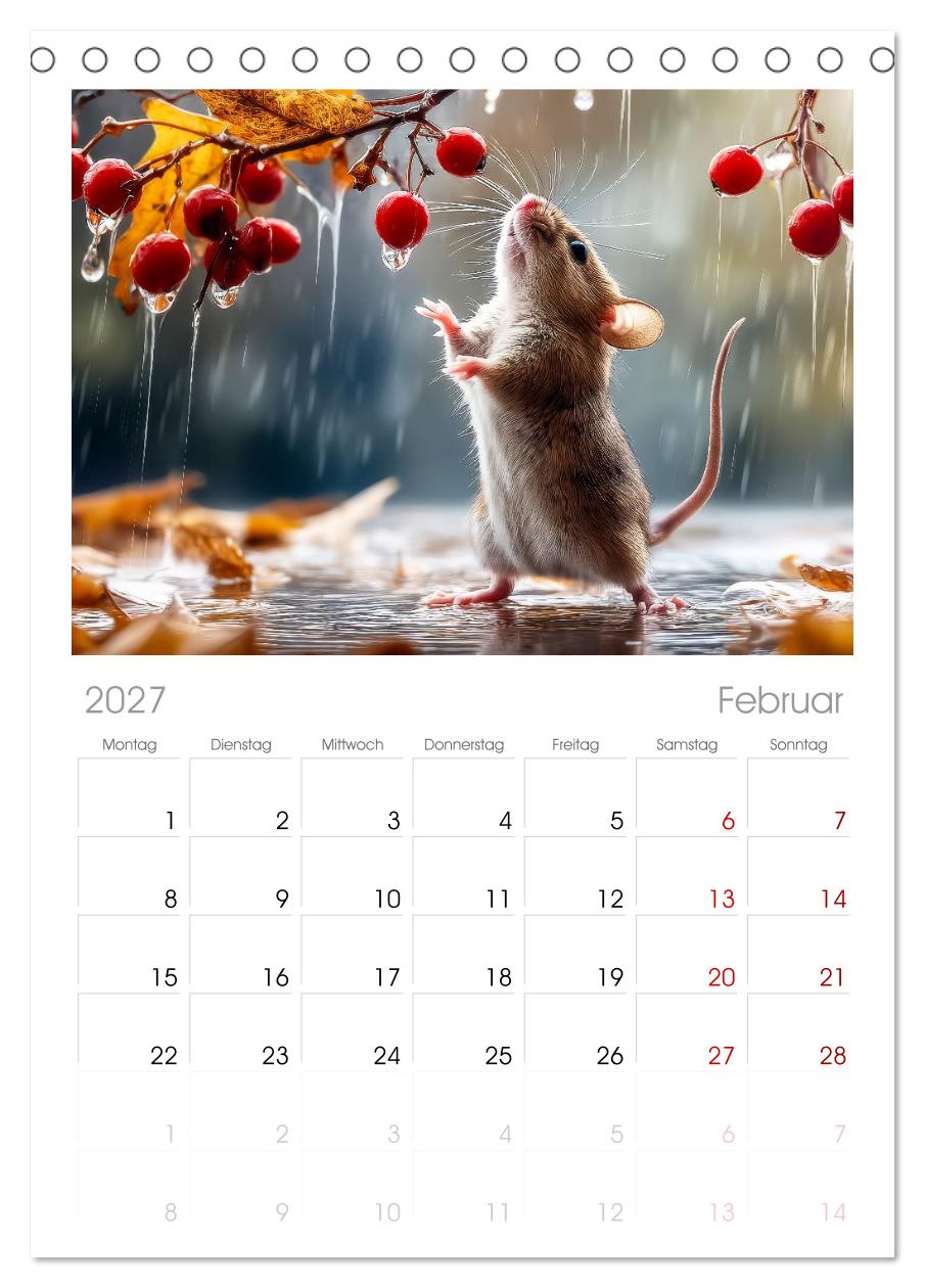 Regen? Na und! Mäuse