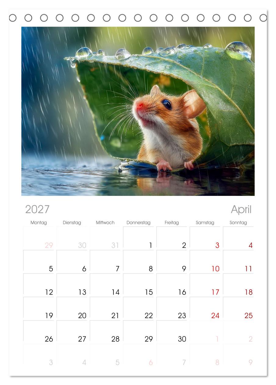 Regen? Na und! Mäuse
