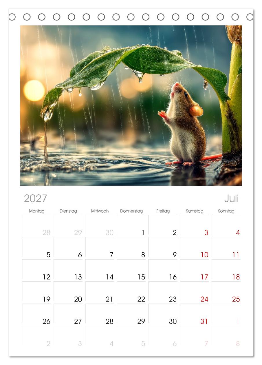 Regen? Na und! Mäuse