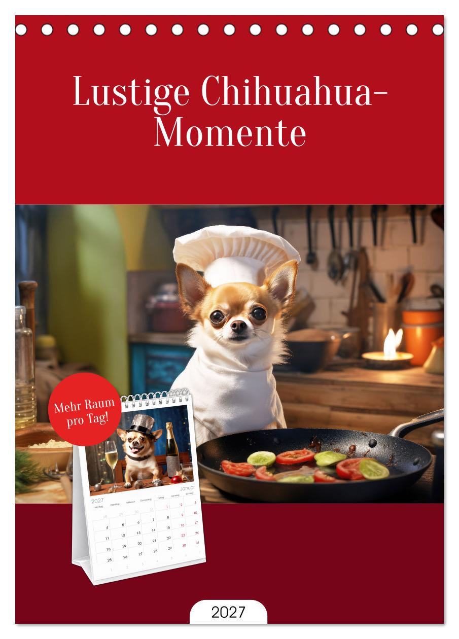 Lustige Chihuahua-Momente