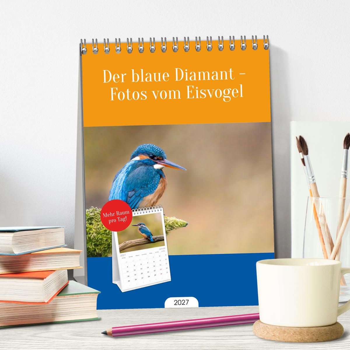 Der blaue Diamant - Fotos vom Eisvogel