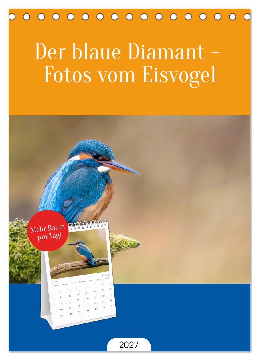Der blaue Diamant - Fotos vom Eisvogel