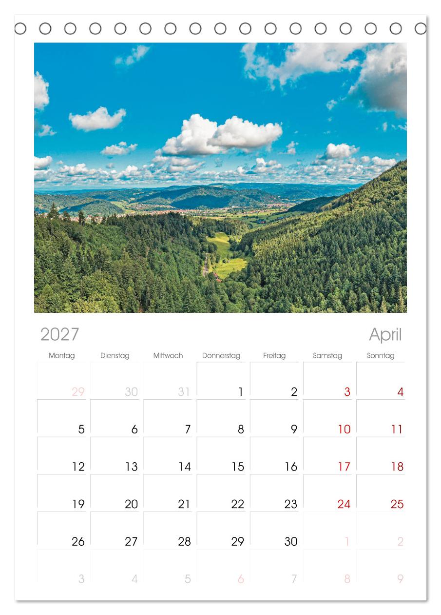 Schwarzwald - Märchenwald