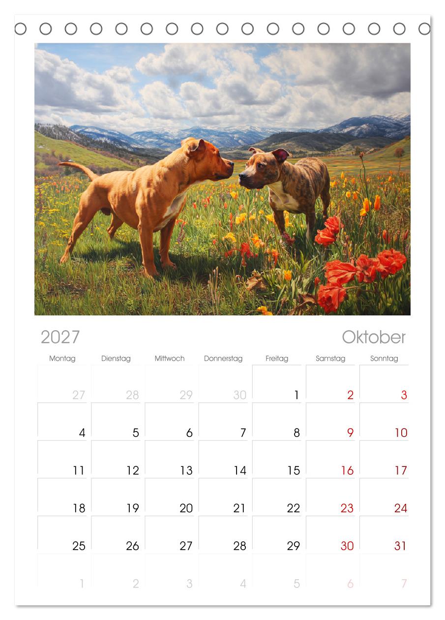 Pit Bull Terrier. Zwischen Wildblumen und Großstadtglanz