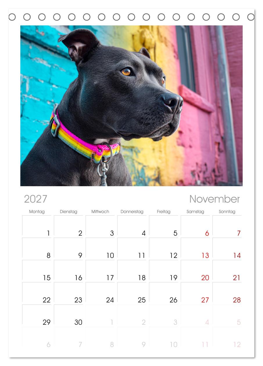 Pit Bull Terrier. Zwischen Wildblumen und Großstadtglanz