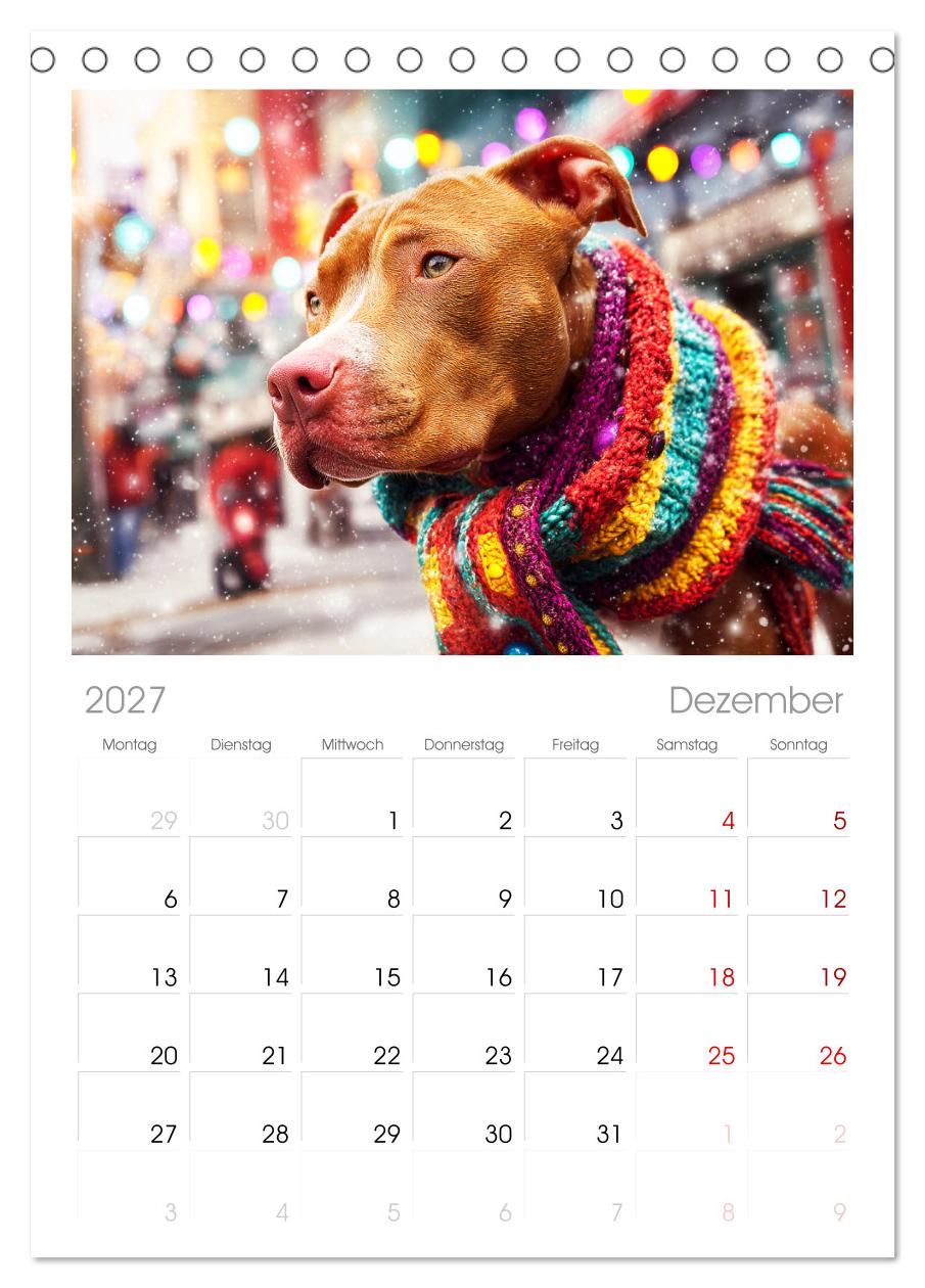 Pit Bull Terrier. Zwischen Wildblumen und Großstadtglanz