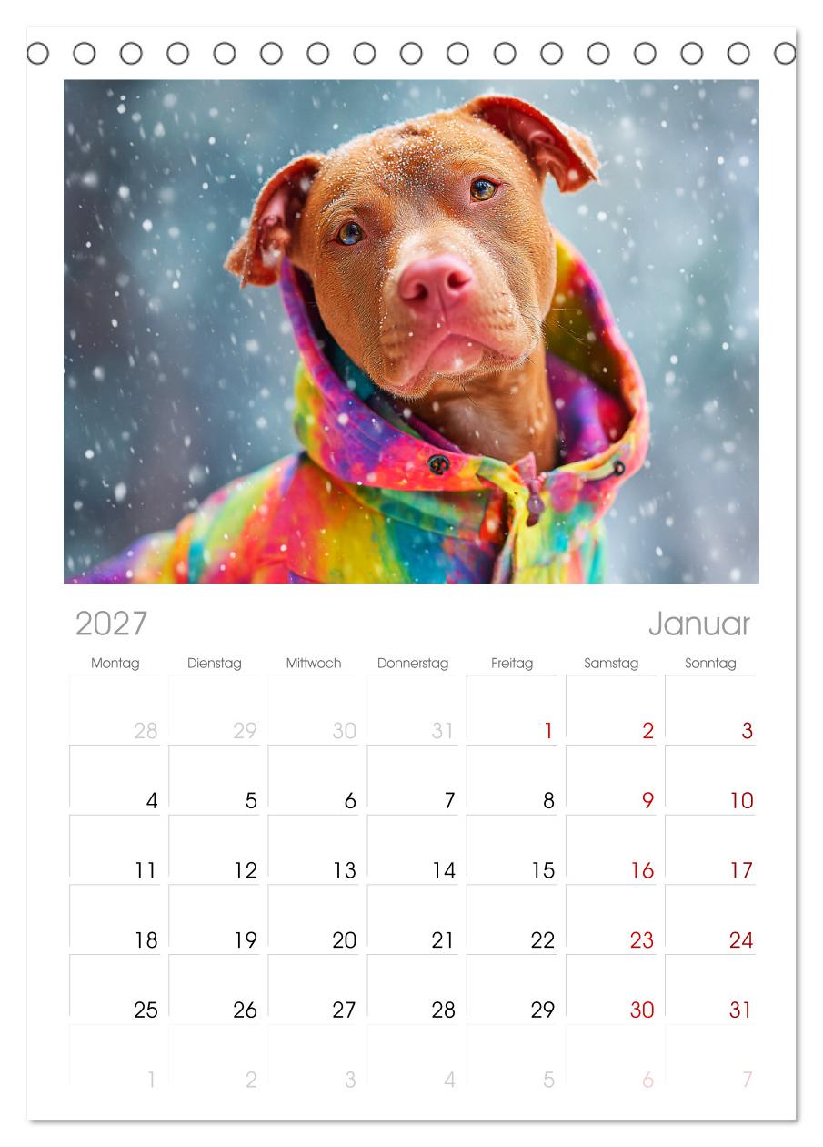 Pit Bull Terrier. Zwischen Wildblumen und Großstadtglanz
