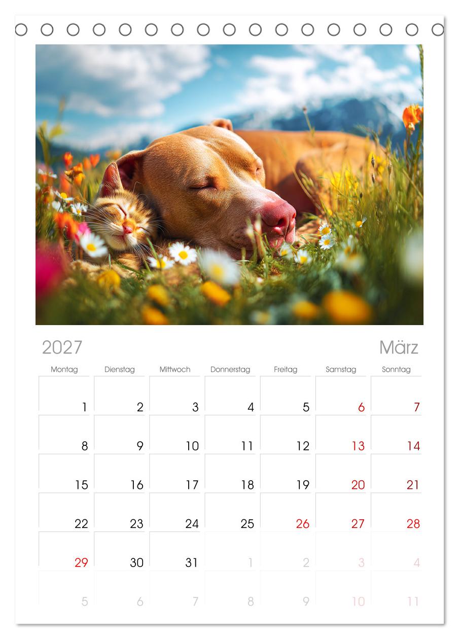 Pit Bull Terrier. Zwischen Wildblumen und Großstadtglanz