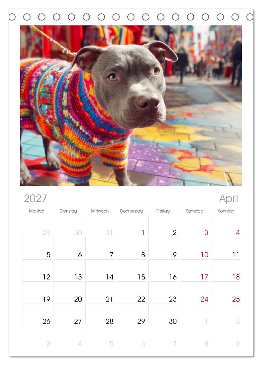 Pit Bull Terrier. Zwischen Wildblumen und Großstadtglanz