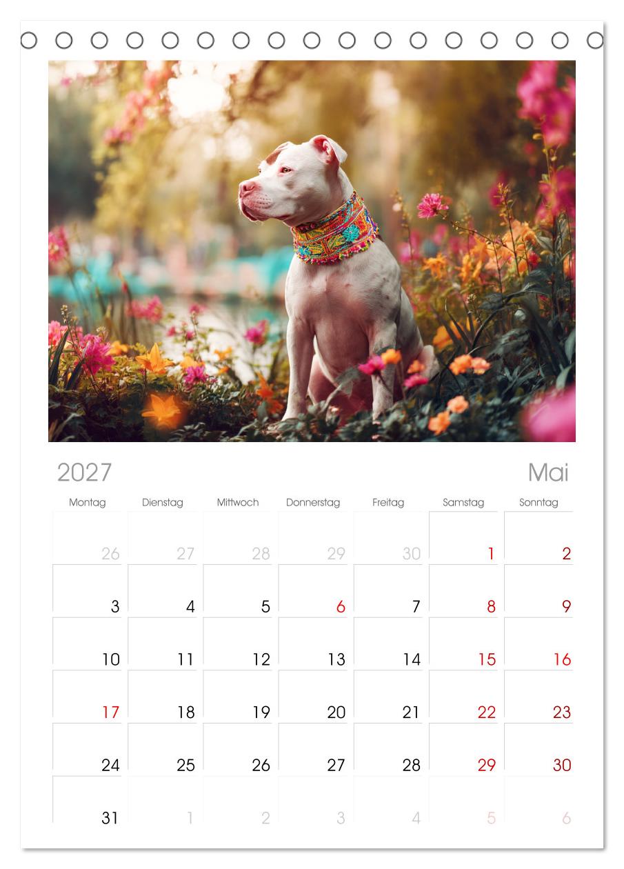Pit Bull Terrier. Zwischen Wildblumen und Großstadtglanz