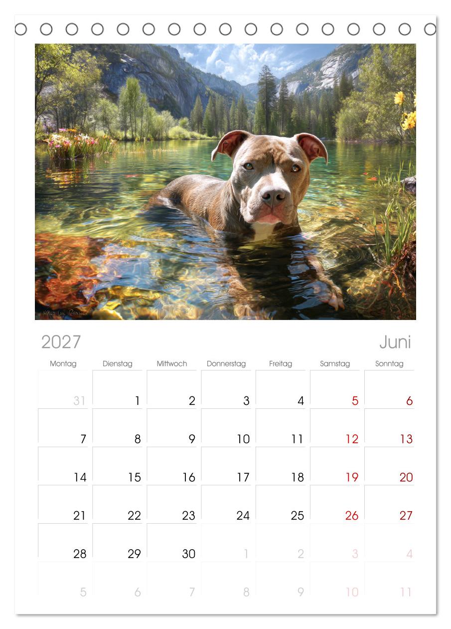 Pit Bull Terrier. Zwischen Wildblumen und Großstadtglanz