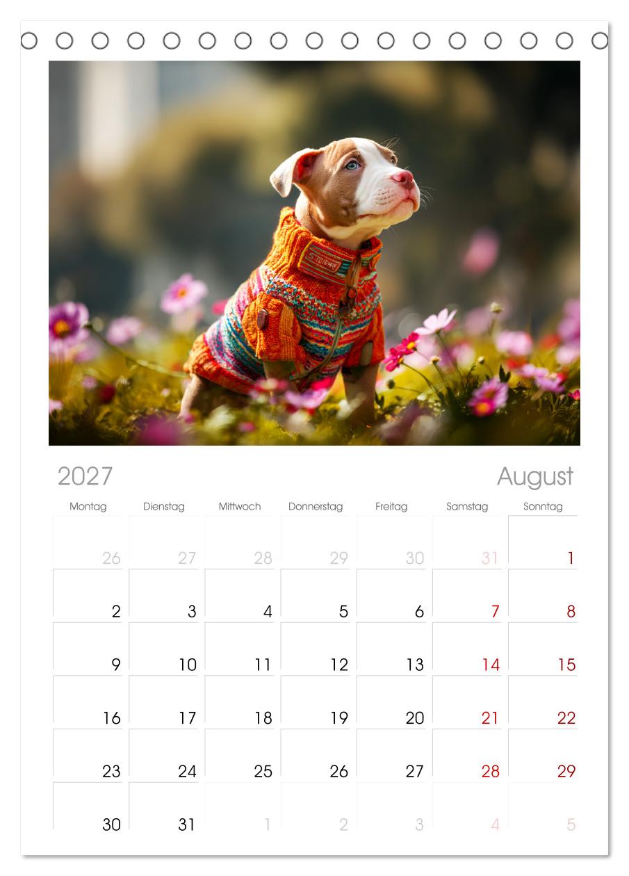 Pit Bull Terrier. Zwischen Wildblumen und Großstadtglanz