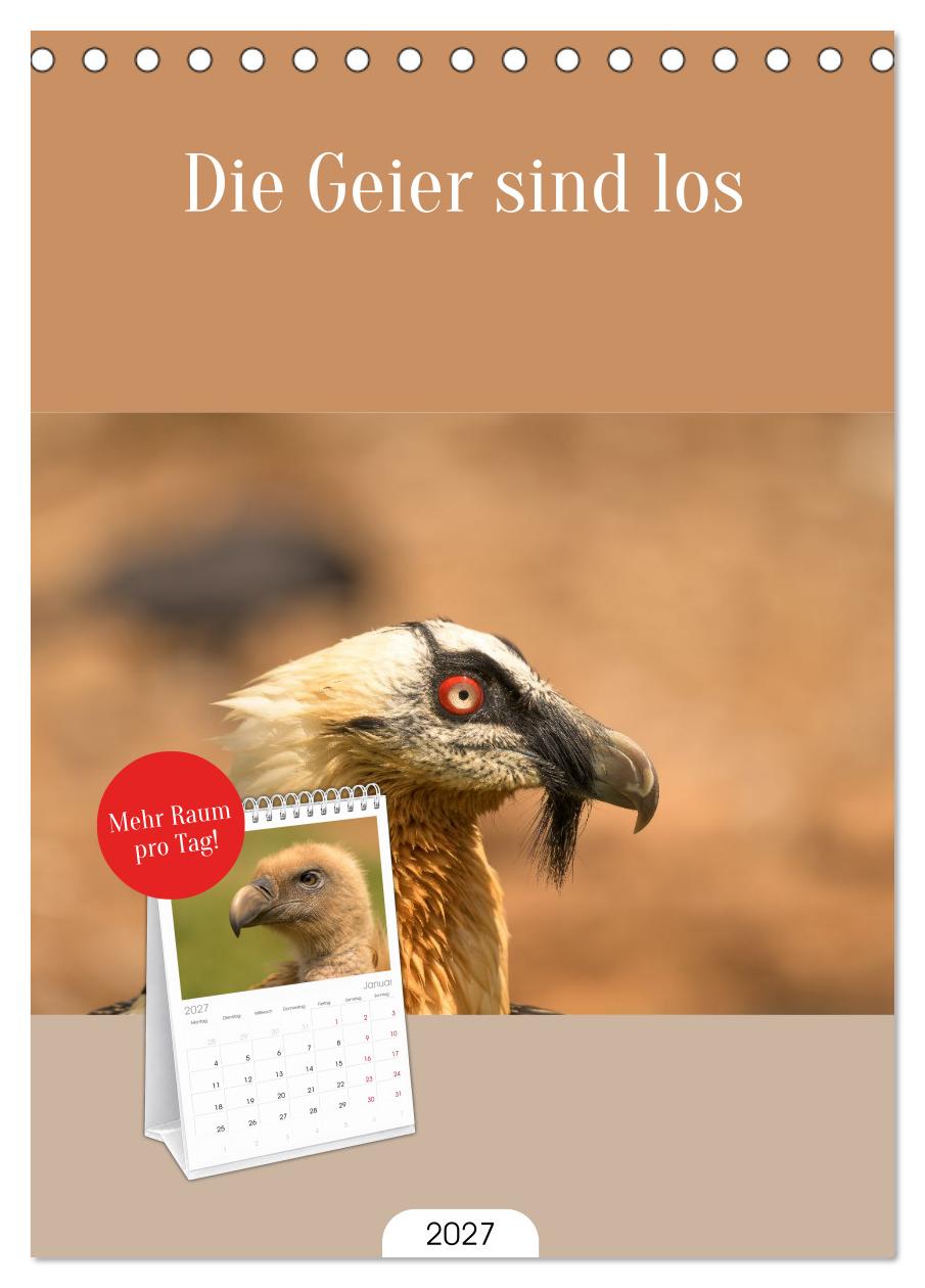 Die Geier sind los