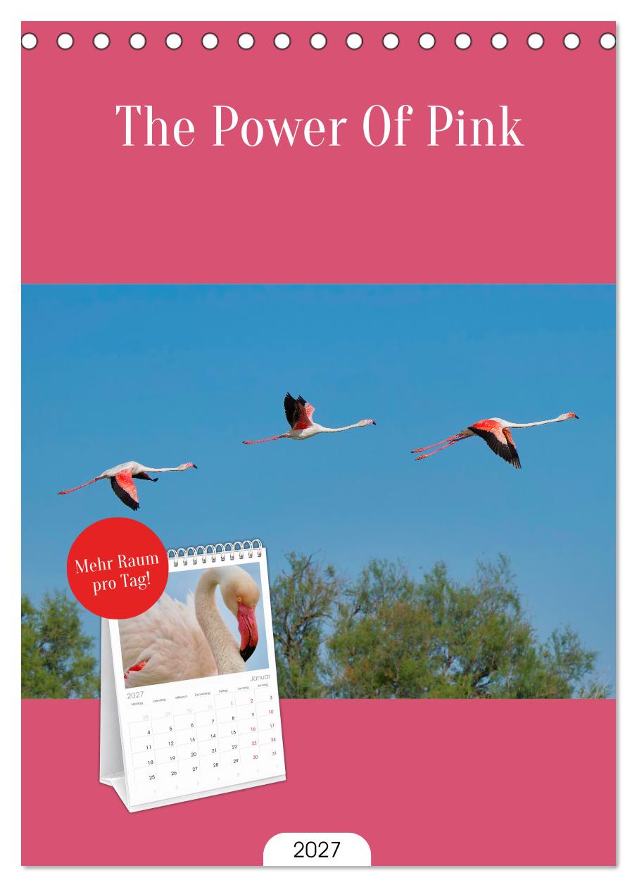 The Power Of Pink