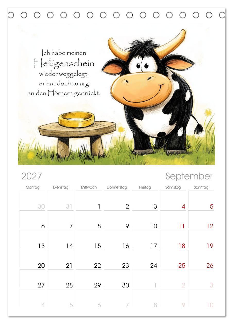 Kuhle Sprüche