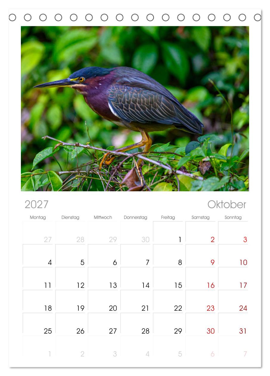 Costa Rica - Naturparadies zwischen Karibik und Pazifik