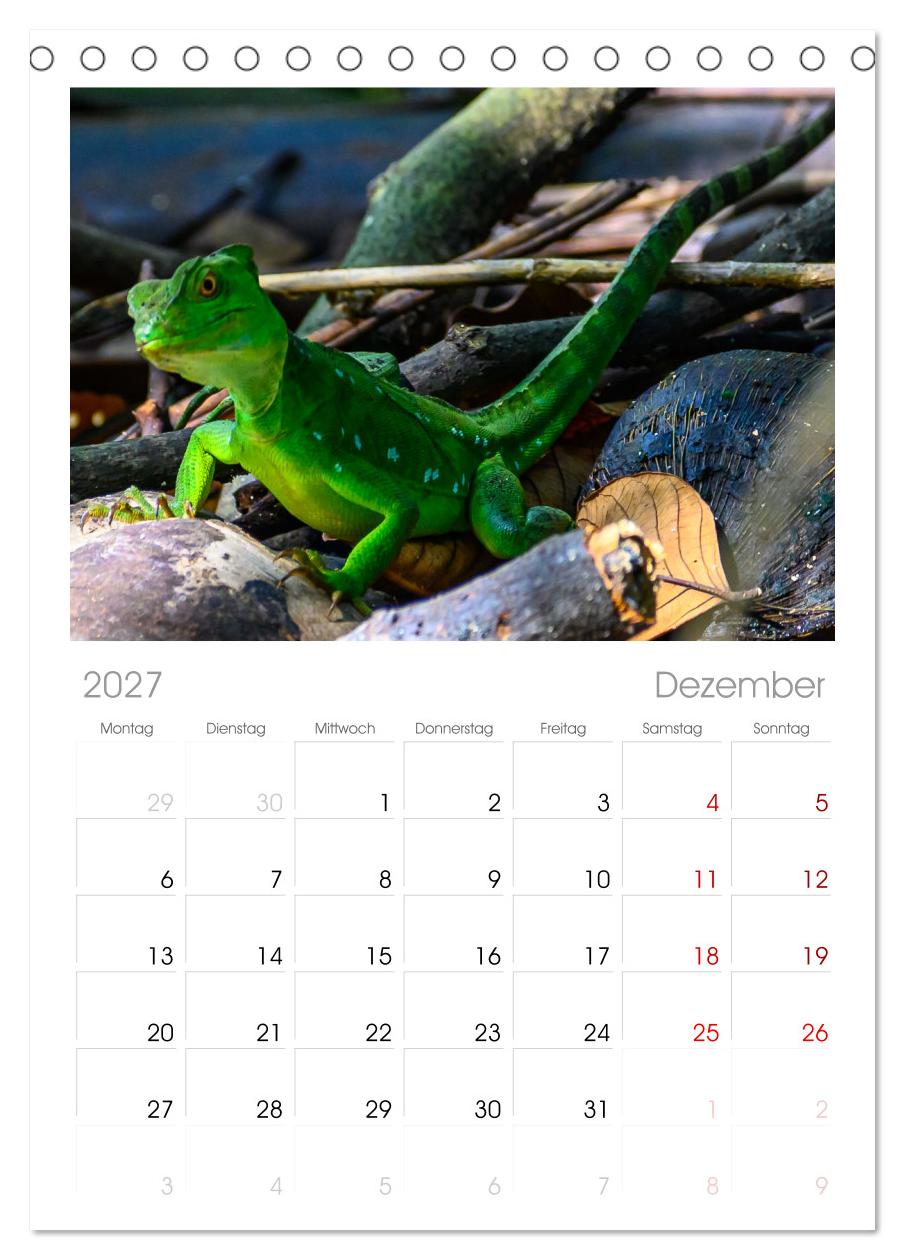 Costa Rica - Naturparadies zwischen Karibik und Pazifik