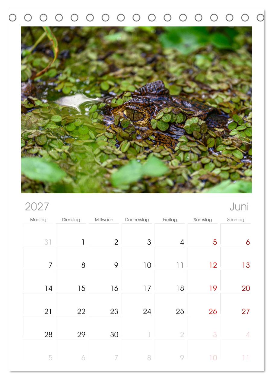 Costa Rica - Naturparadies zwischen Karibik und Pazifik