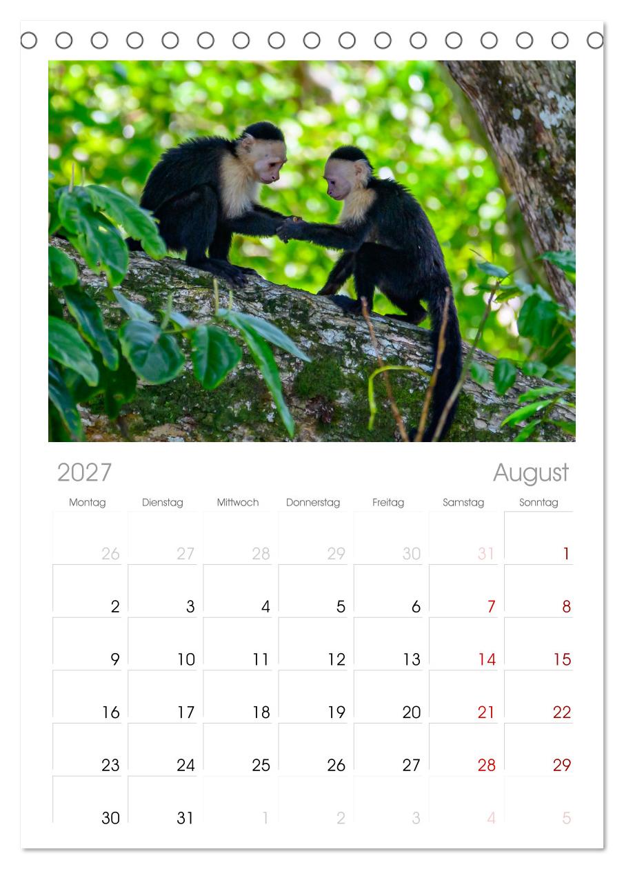 Costa Rica - Naturparadies zwischen Karibik und Pazifik