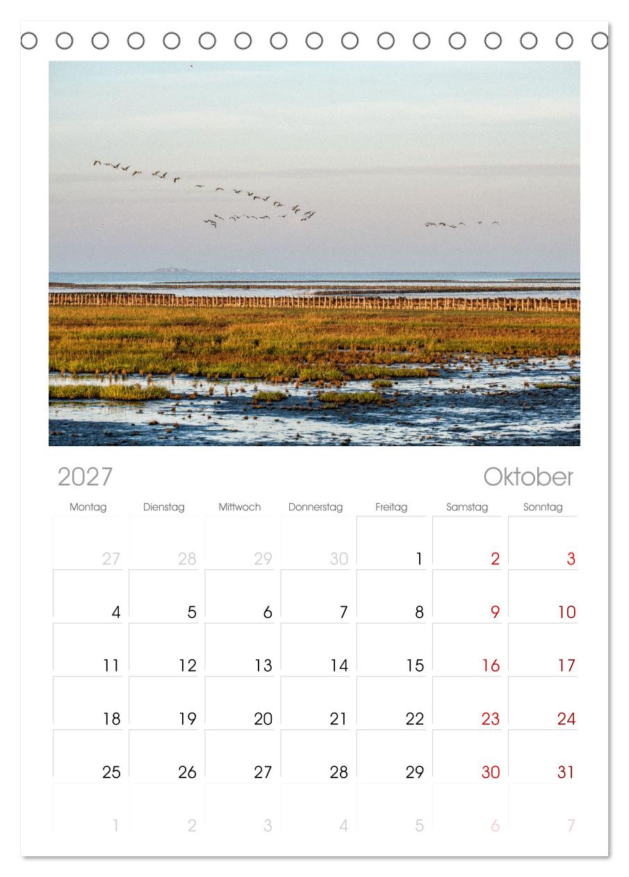 Nordfriesland - weiter Horizont, faszinierende Natur, idyllische Städte