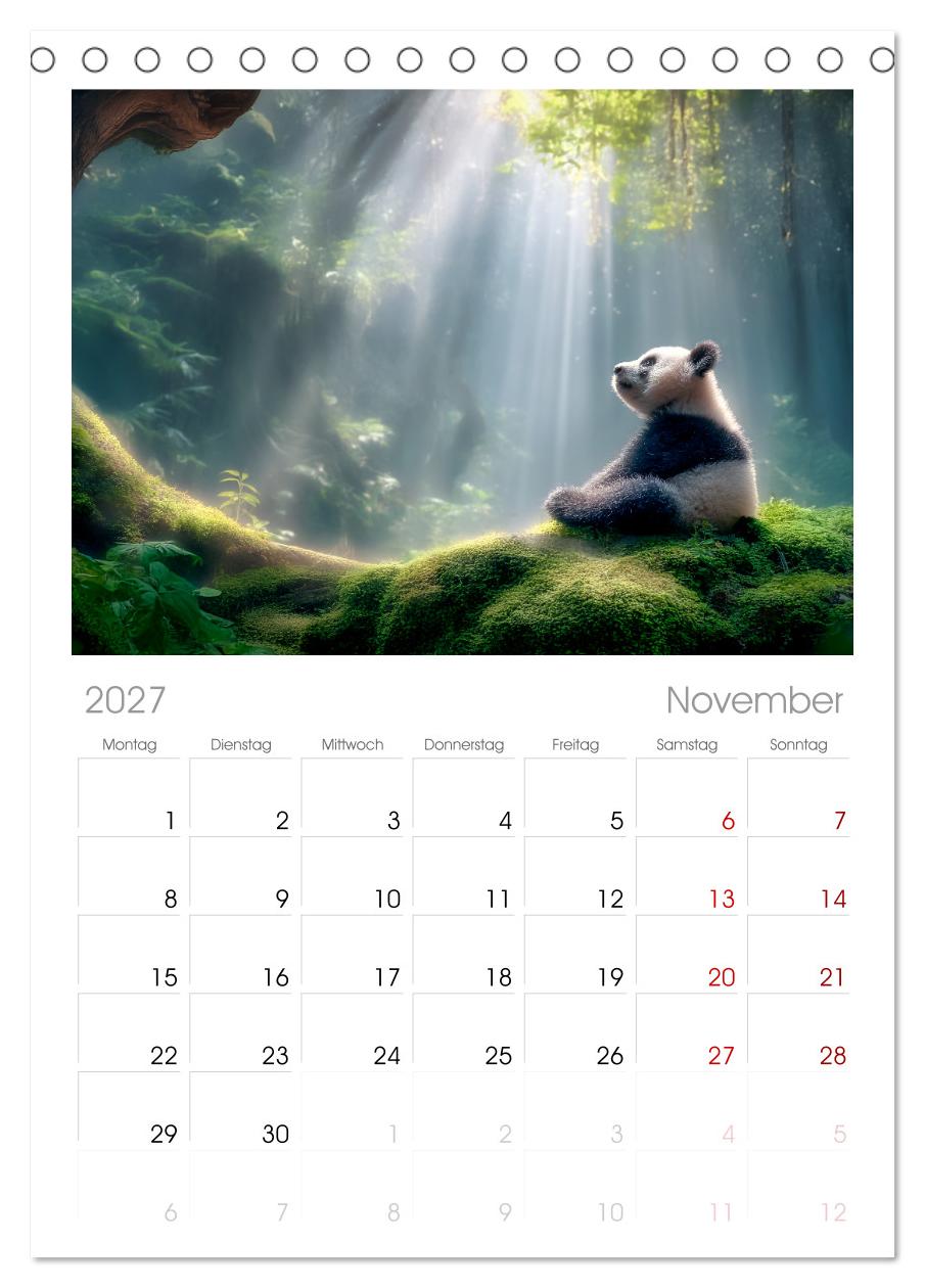 Schwarz auf Weiß - Der Panda-Kalender