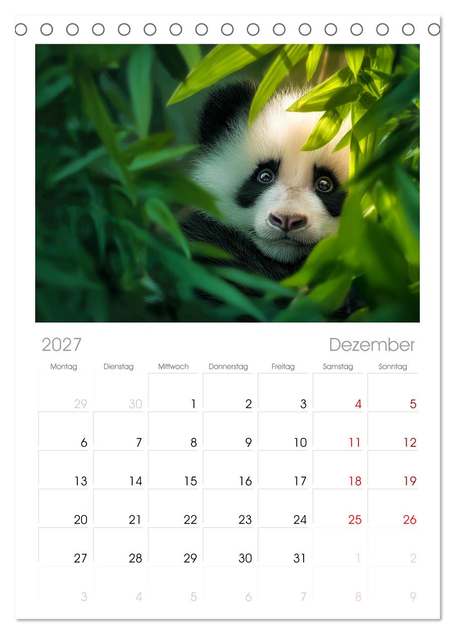 Schwarz auf Weiß - Der Panda-Kalender