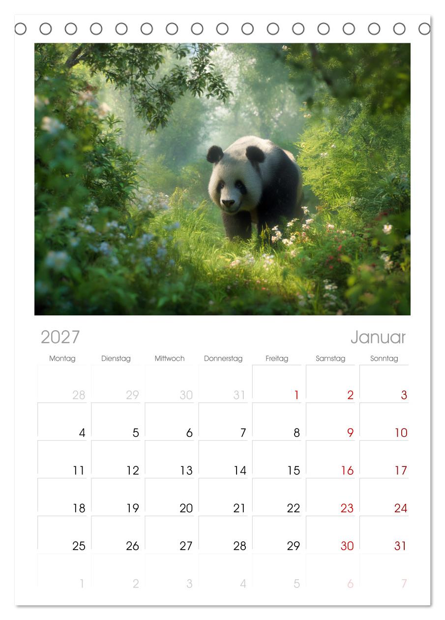 Schwarz auf Weiß - Der Panda-Kalender