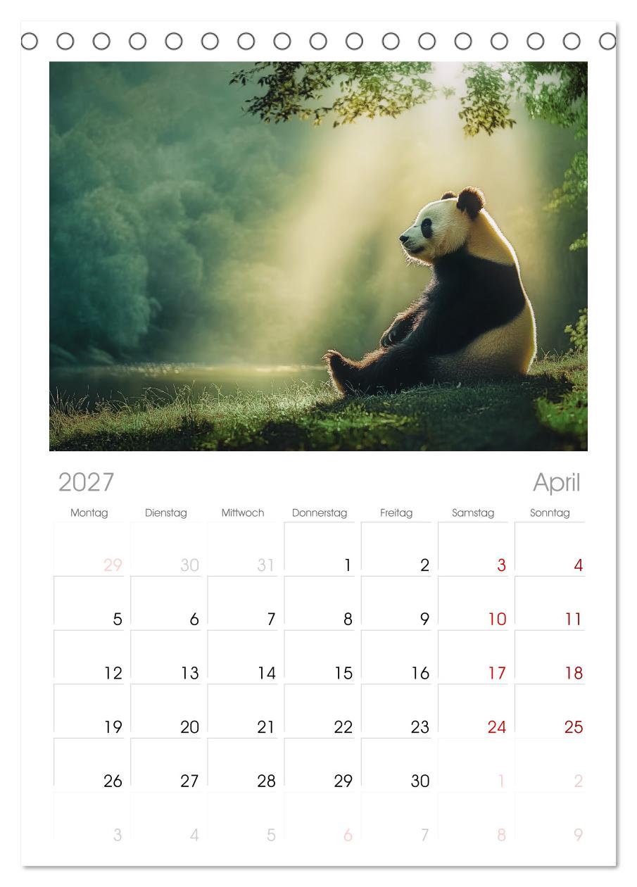 Schwarz auf Weiß - Der Panda-Kalender