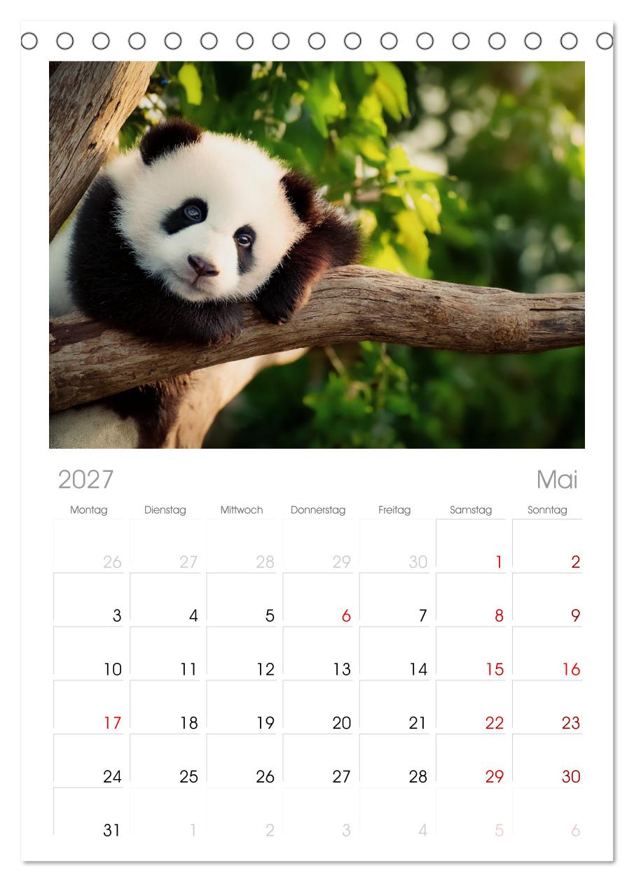 Schwarz auf Weiß - Der Panda-Kalender