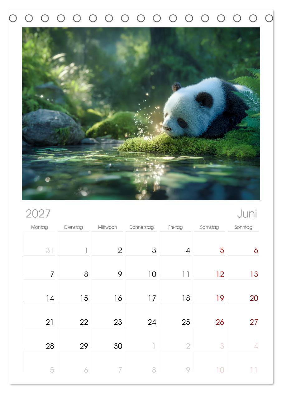 Schwarz auf Weiß - Der Panda-Kalender