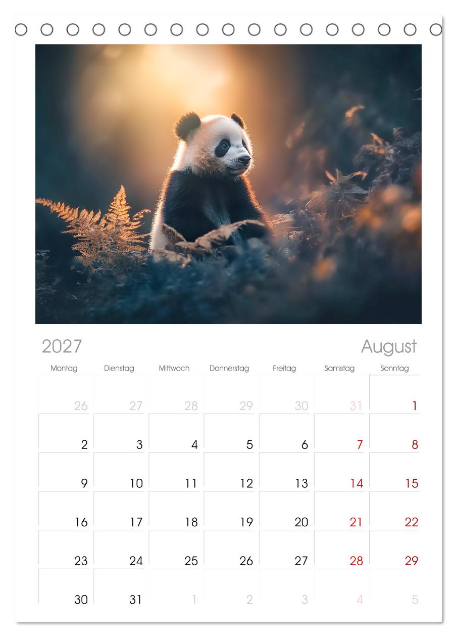Schwarz auf Weiß - Der Panda-Kalender