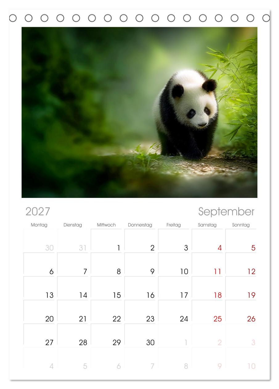 Schwarz auf Weiß - Der Panda-Kalender