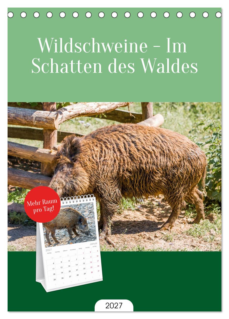Wildschweine - Im Schatten des Waldes