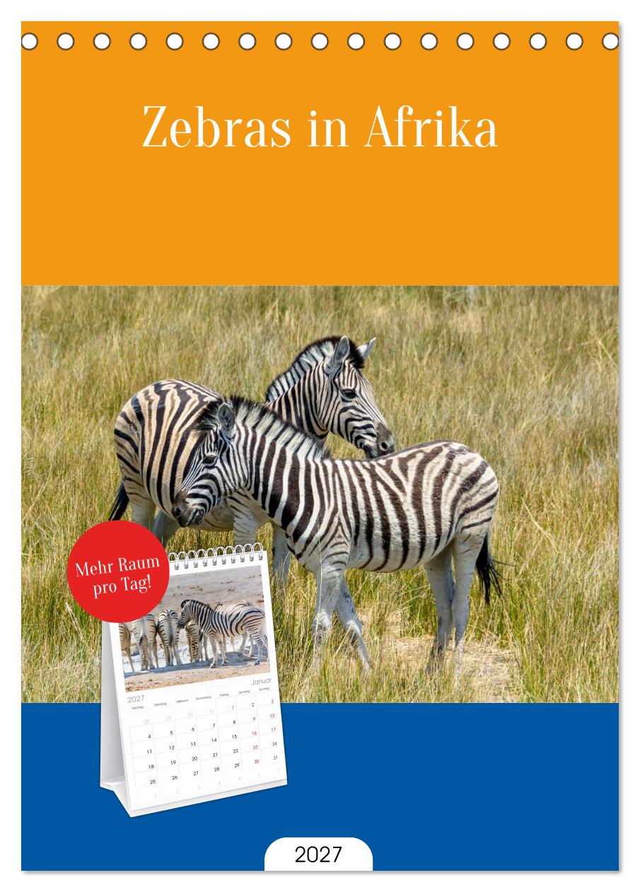 Zebras in Afrika