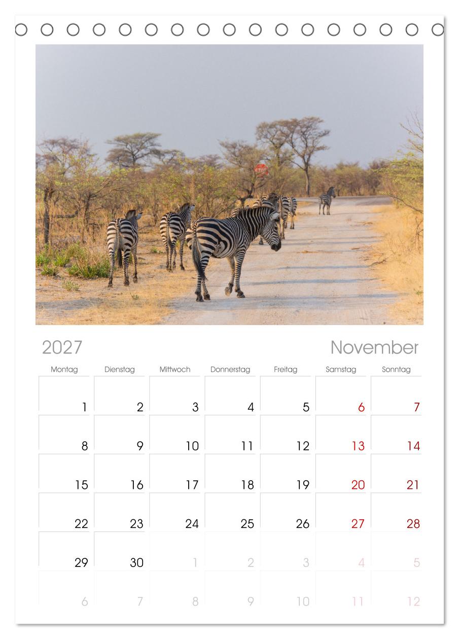 Zebras in Afrika