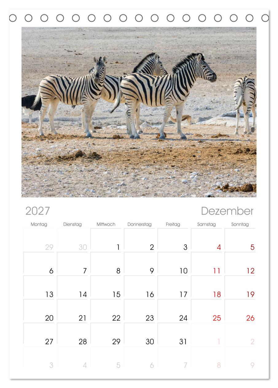Zebras in Afrika