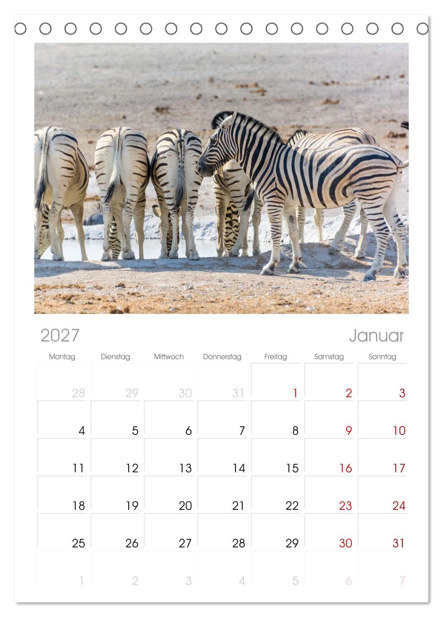 Zebras in Afrika