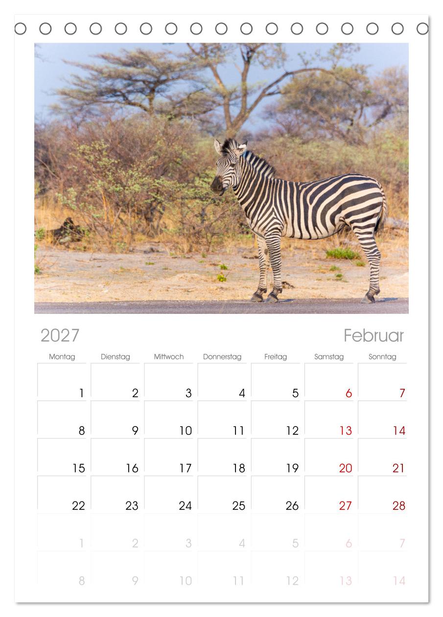 Zebras in Afrika