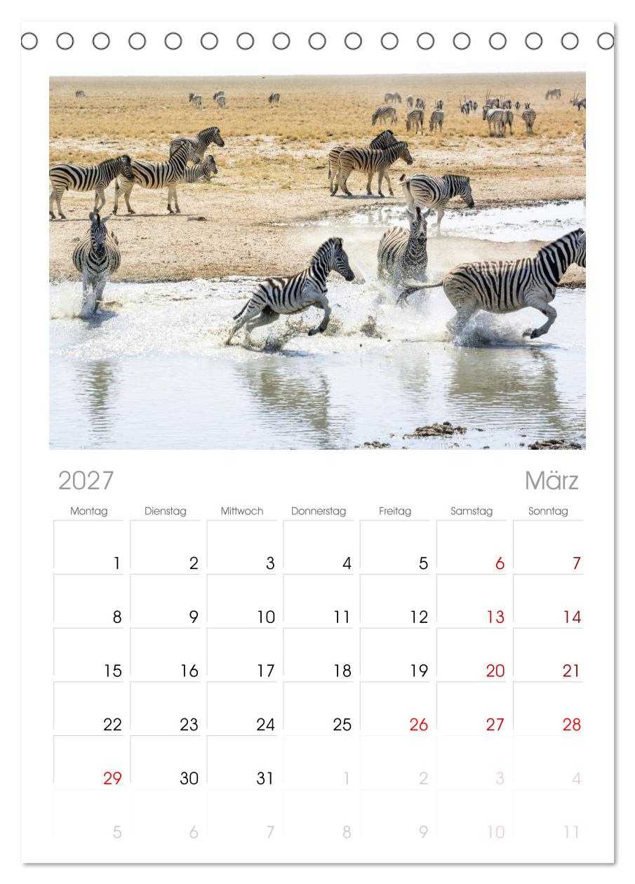 Zebras in Afrika