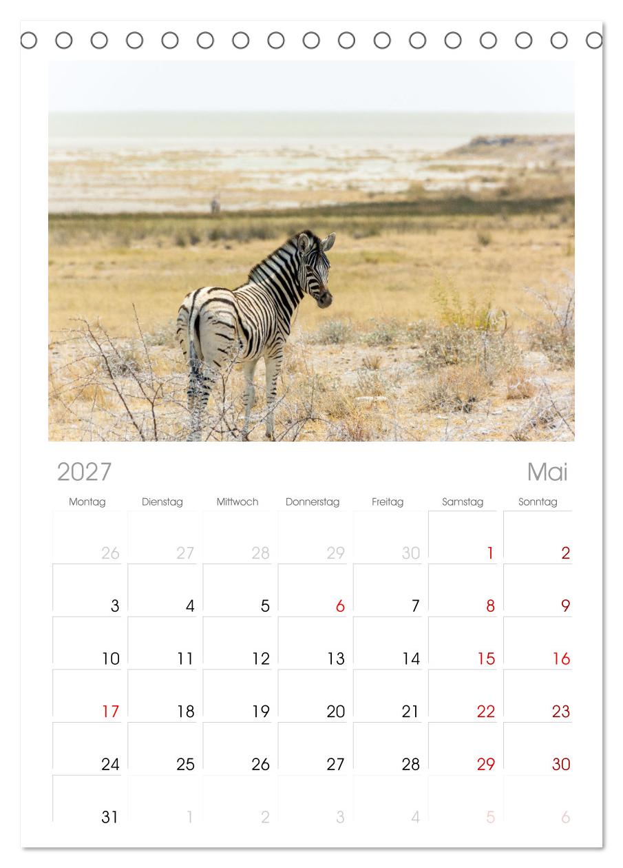 Zebras in Afrika
