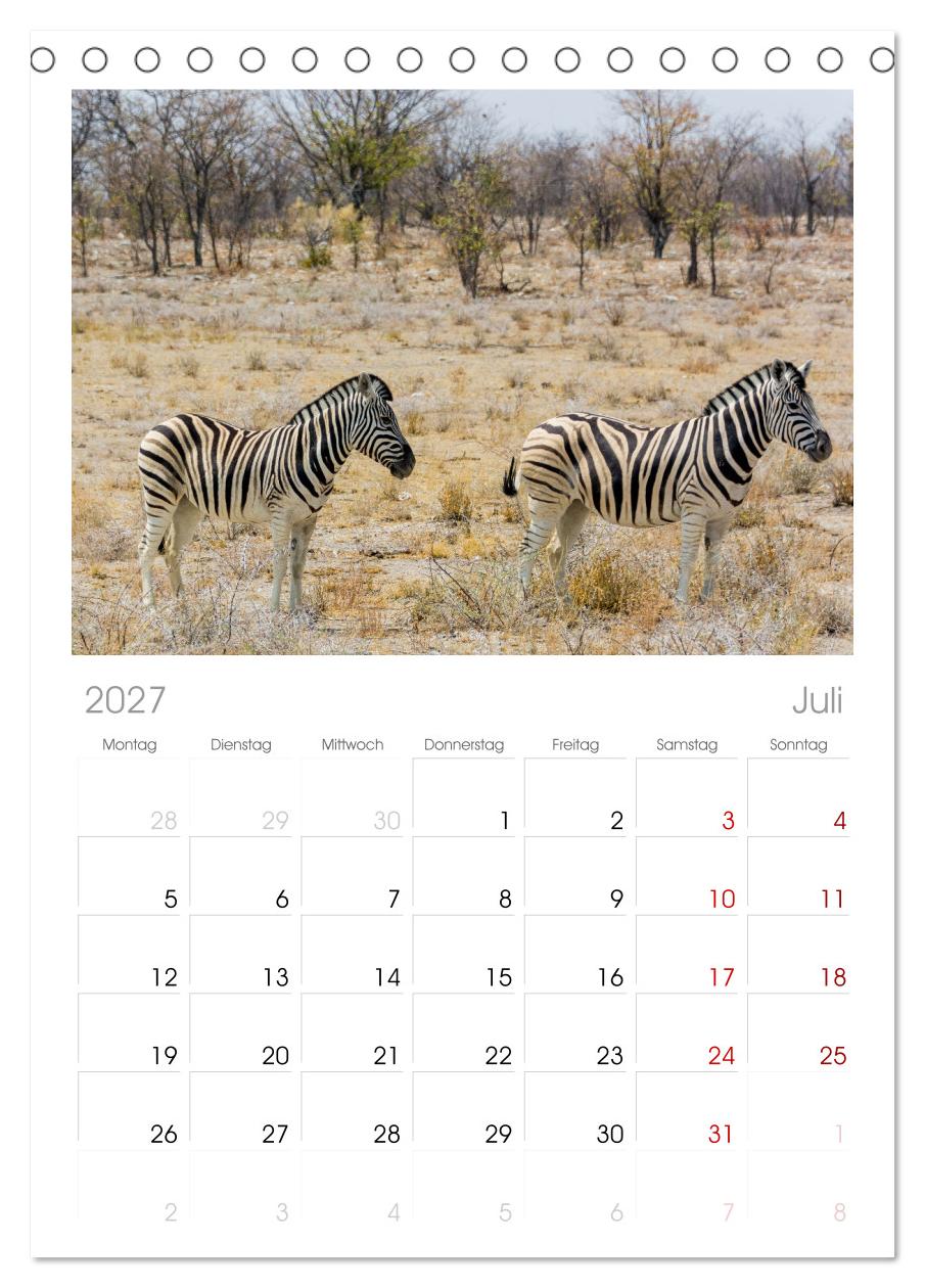 Zebras in Afrika