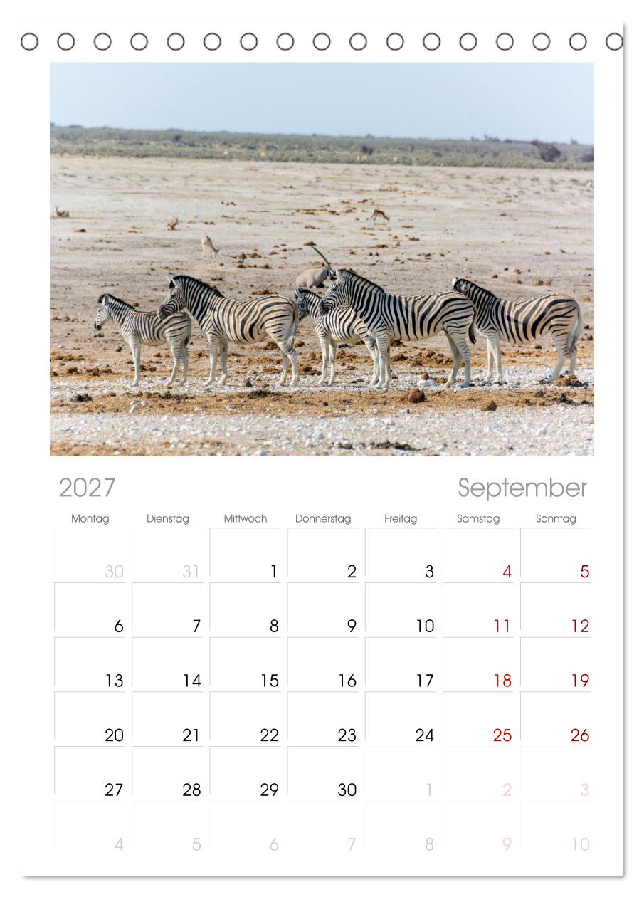 Zebras in Afrika