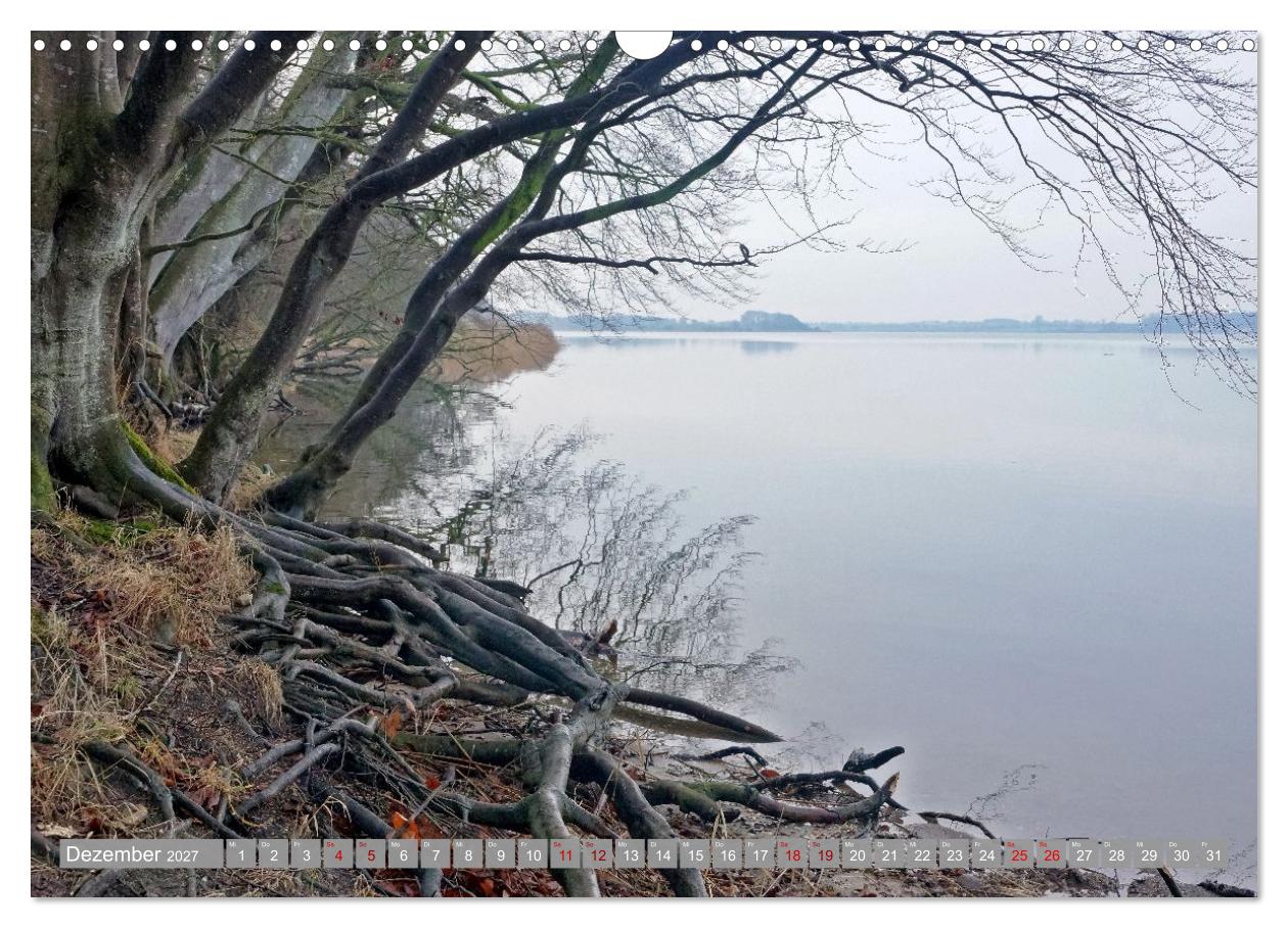 Am schönsten Uferabschnitt der Schlei